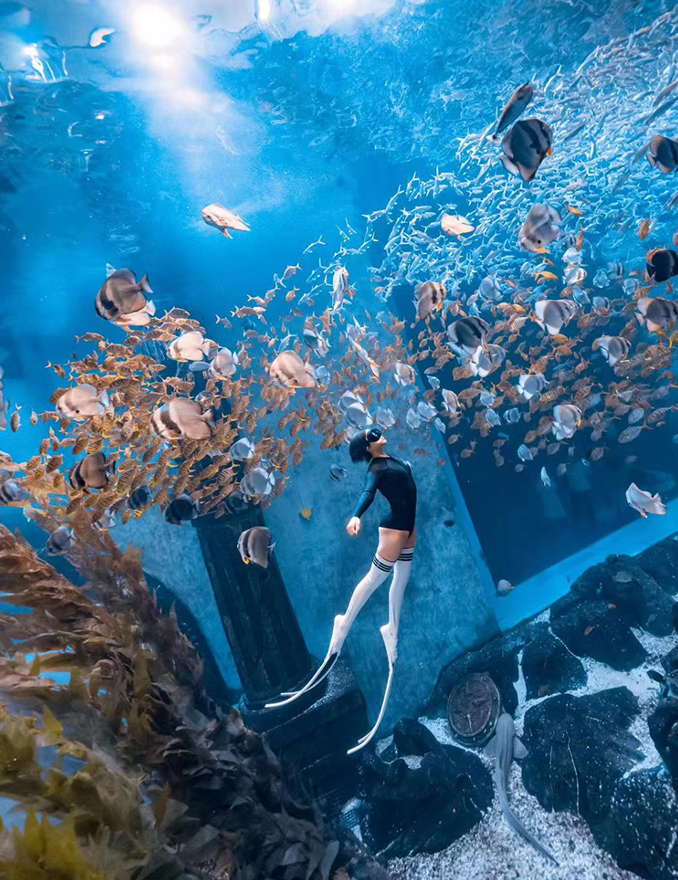 哈爾濱美人魚潛水